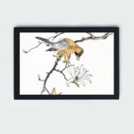 the beauty of a Black-eared Kite in this vintage art print by Numata Kashu,placed on the wall