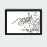 the beauty of an Eastern Whimbrel and Wisteria Vine in this vintage art print by Numata Kashu,placed on the wall