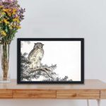 Discover the beauty of a Japanese Scops Owl and Fir in this vintage art print by Numata Kashu,placed on the wall