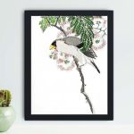 Discover the beauty of a Japanese Masked Hawfinch and Silk Tree in this vintage art print by Numata Kashu,placed on the wall