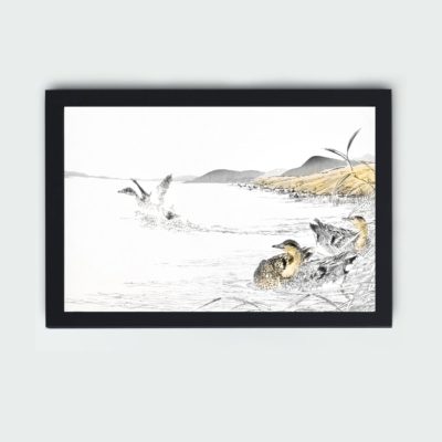 Discover the beauty of a Falcated Teal and Reed in this vintage art print by Numata Kashu,placed on the wall