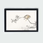 Discover the beauty of a Japanese Pied Kingfisher in this vintage art print by Numata Kashu,placed on the wall