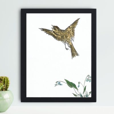 the beauty of a Japanese Water-Pipit and Viola in this vintage art print by Numata Kashu,placed on the wall