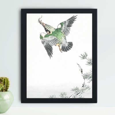 Discover the beauty of a Japanese Common Kingfisher in this vintage art print by Numata Kashu,placed on the wall