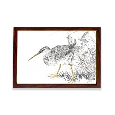 the beauty of an Eastern Whimbrel and Wisteria Vine in this vintage art print by Numata Kashu,placed on the wall