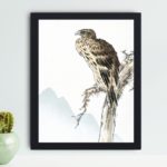 the beauty of a Black-eared Kite in this vintage art print by Numata Kashu,placed on the wall