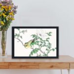 Discover the beauty of a Brown-eared Bulbul and Rosa Rugosa in this vintage art print by Numata Kashu,placed on the wall