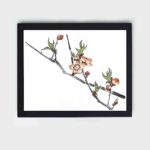 Discover the vibrant beauty of a Peach in this vintage art print by Kono Bairei,placed on the wall