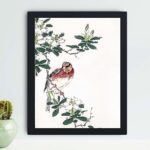 Discover the beauty of a Japanese Long-tailed Rosefinch in this vintage art print by Numata Kashu,placed on the wall