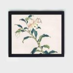 vintage art print featuring "Lily" by Kono Bairei (1844-1895), hung on a white background wall