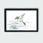 Discover the beauty of an Eastern Grey Wagtail in this vintage art print by Numata Kashu,placed on the wall