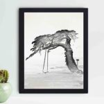 Experience the timeless beauty of an old pine tree in this vintage art print by Ogata Gekko,displayed on the wall