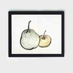 Discover the beauty of Asian Pears in this vintage art print by Kono Bairei,placed on the wall