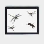 Enhance your decor with this stunning vintage art print of dragonflies by Morimoto Toko,mounted on the wall