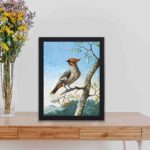 Our vintage Bird Study art print by George Edwards,kept on a table with black frame