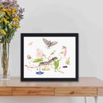 vintage art print showcasing the metamorphosis of the Convolvulus Hawk Moth,kept on a table with black frame