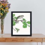 Discover the beauty of a Barbary Dove and Oak Tree in this vintage art print by Numata Kashu,placed on the wall