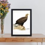 Experience the power and grace of the White-tailed Eagle with this vintage art print,Placed on a table