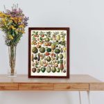 Vintage Fruit & Veg Art Print. Immerse in history with vibrant botanical illustration from 1898 Nouveau Larousse, displayed on a table with brown frame