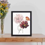 Admire the stunning beauty of dahlias in this vintage art print by Willem Hekking,kept on a table with black frame