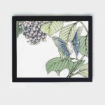 beauty and tranquility of nature with this stunning vintage art print of a moth and plant by Morimoto Toko,displayed on the wall