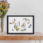 Experience the beauty of Japanese art with this Kamisaka Sekka butterfly woodblock print,placed on the wall Experience the beauty of Japanese art with this Kamisaka Sekka butterfly woodblock print,displayed on a table