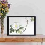 this exquisite vintage art print of a white blossomed flower by Watanabe Seitei,framed and placed on the wall