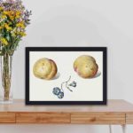 Elevate your home with this vintage peach and flower art print by van Os,kept on a table