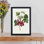 Bring the beauty of nature indoors with this stunning Red Currant print by Pierre-Joseph Redouté.displayed on a table with black frame