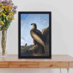 Vintage art print of a Washington Sea Eagle,displayed on a table with black frame