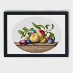 Luscious peaches and plums on marble. Vintage art print by Ehret,hung on the wall