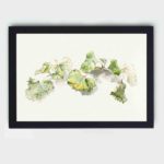 Intricate leaf study by Knip. Vintage botanical art print,mounted on the wall