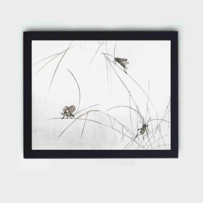 The tranquility of nature with this stunning vintage art print of a Suzumushi bell cricket by Morimoto Toko,framed and placed on the wall