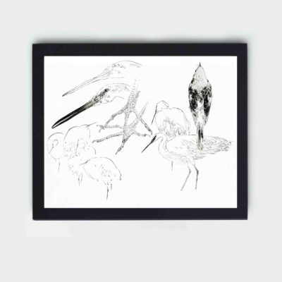 this stunning vintage art print of a little egret and Daurian redstart by Watanabe Seitei,hung on the wall