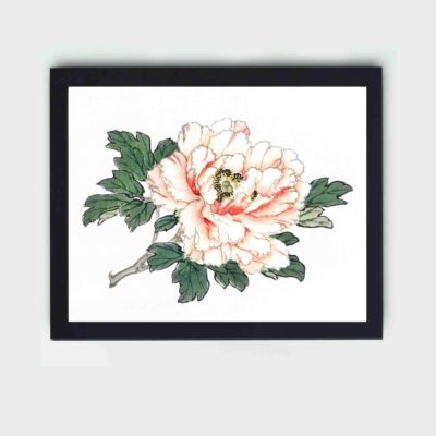 The delicate beauty of a Pink Rose in this vintage art print by Kono Bairei,placed on the wall