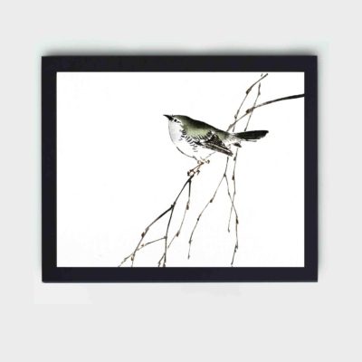 Discover the charm of a Tit in this vintage art print by Kono Bairei,placed on the wall