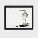 Enhance your decor with this stunning vintage art print of a common snipe by Watanabe Seitei,hung on the wall