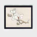 the delicate beauty of Magnolia in this vintage art print by Kono Bairei,displayed on the wall