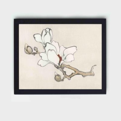 the delicate beauty of Magnolia in this vintage art print by Kono Bairei,displayed on the wall