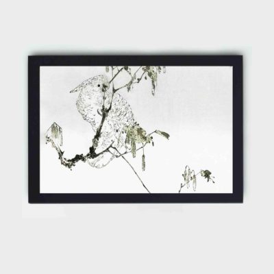 This captivating vintage art print of a white cockatoo perched on a branch,hung on the wall with black frame