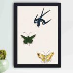 this stunning vintage art print featuring a swallow and butterflies from Yatsuo no Tsubaki by Taguchi Tomoki,displayed on the wall