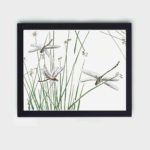 Enhance your decor with this stunning vintage art print of dragonflies by Morimoto Toko,placed on the wall