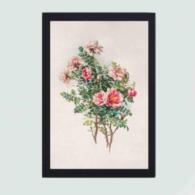 This vintage art print by L. Prang & Co captures the essence of nature,mounted on the wall