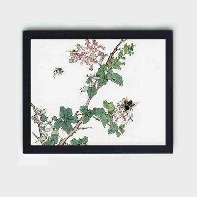 Enhance your home decor with this stunning vintage art print of a horsefly by Morimoto Toko,displayed on the wall