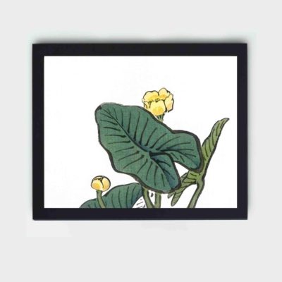 the serene beauty of a Water-lily in this vintage art print by Kono Bairei,placed on the wall