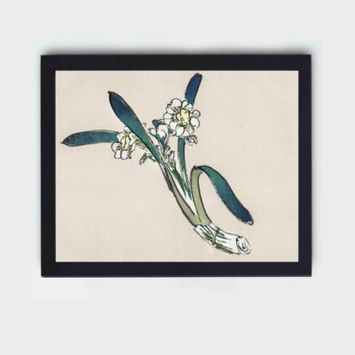 Discover the delicate beauty of a Bunchflower Daffodil in this vintage art print by Kono Bairei.