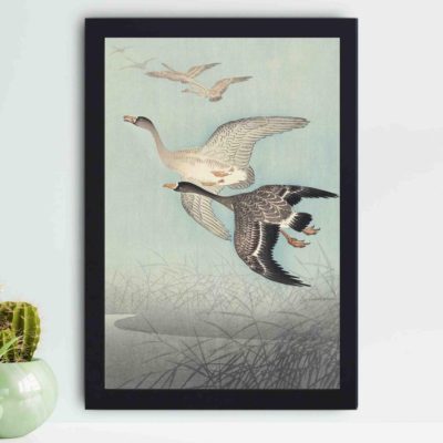 Discover the majestic beauty of Great Geese in Flight in this vintage art print by Ohara Koson,placed on the wall