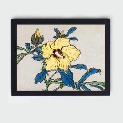 The beauty of a hibiscus flower with this vintage art print by Kono Bairei,mounted on the wall