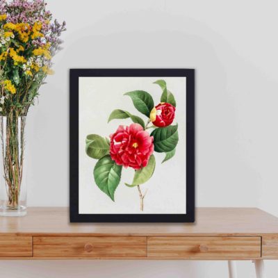 This vintage art print featuring a collection of exquisite flowers and fruits by Pierre-Joseph Redouté,displayed on a table