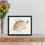 the vibrant beauty of Fish in this vintage art print by Kono Bairei,displayed on the wall